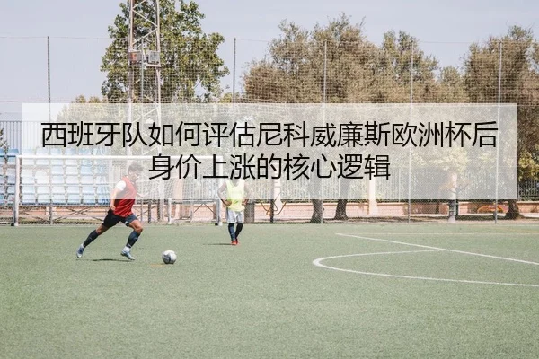 西班牙队如何评估尼科威廉斯欧洲杯后身价上涨的核心逻辑